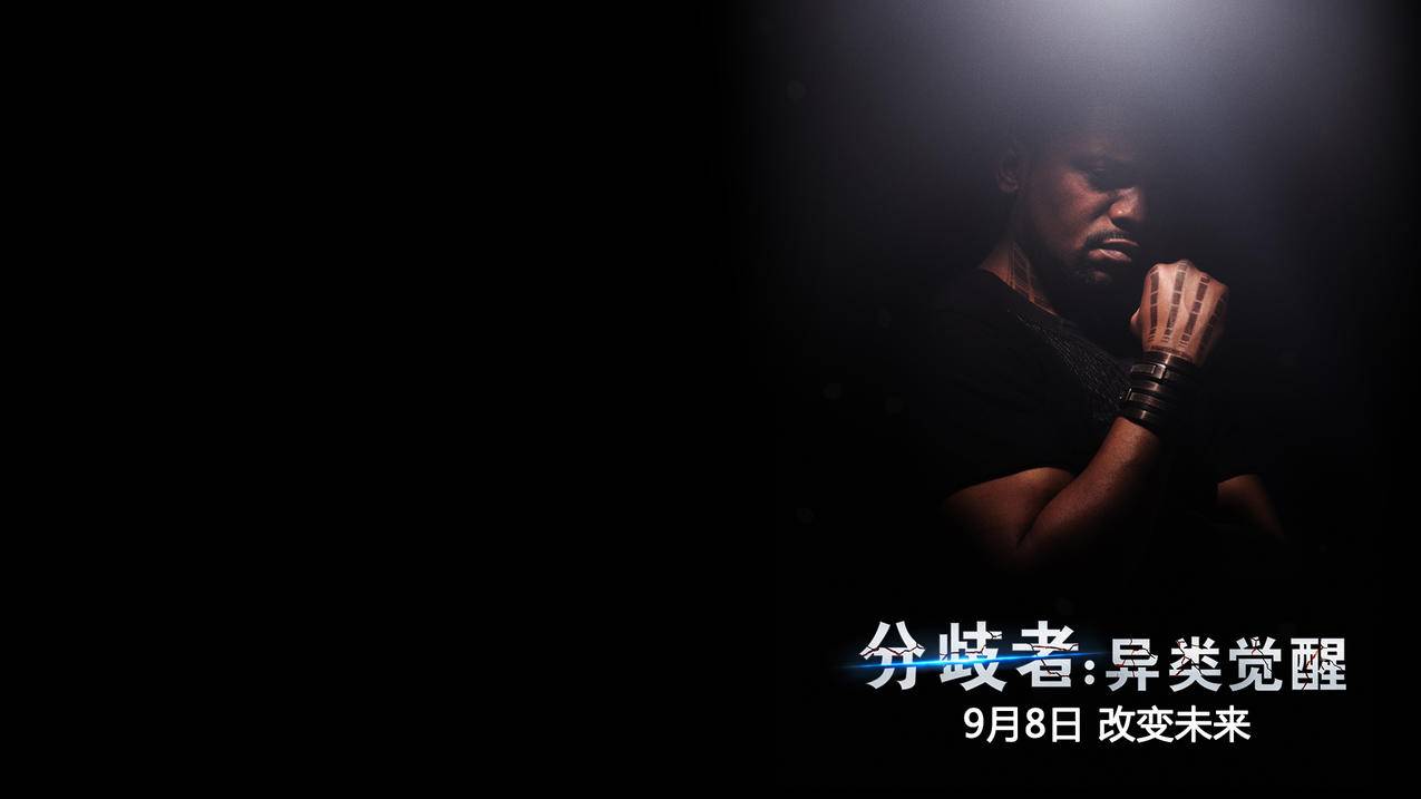 卡盟自助下单平台,快手刷粉1元1000个