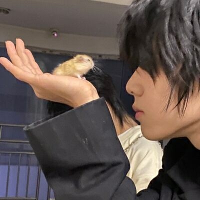 一元1000个粉丝软件,免费领取快手粉丝1000,快手免费互赞互评论软件,快手秒刷自助下单平台24小时微信支付